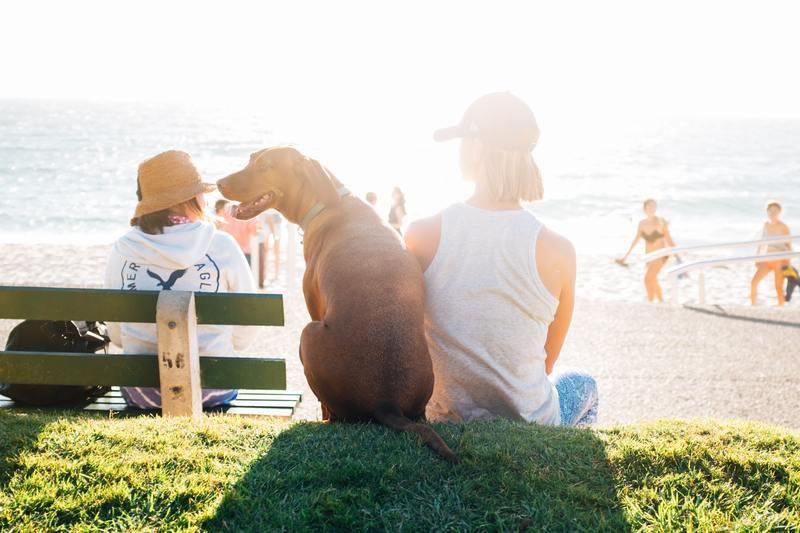 Emotionally bond with your emotional support animal