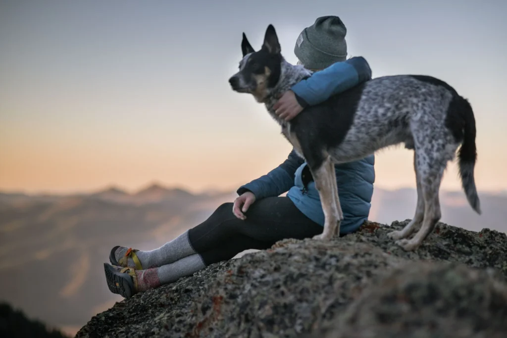 Colorado Emotional Support Animal Laws