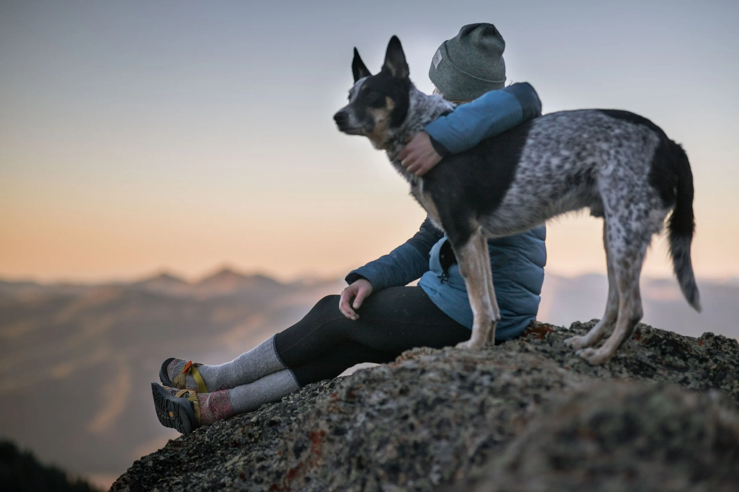 Colorado Emotional Support Animal Laws